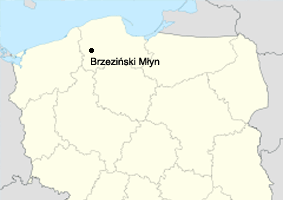 Brzeziski Myn znajduje si w wojewdztwie pomorskim niedaleko miejscowoci Brzeno Szlacheckie, powiat bytowski